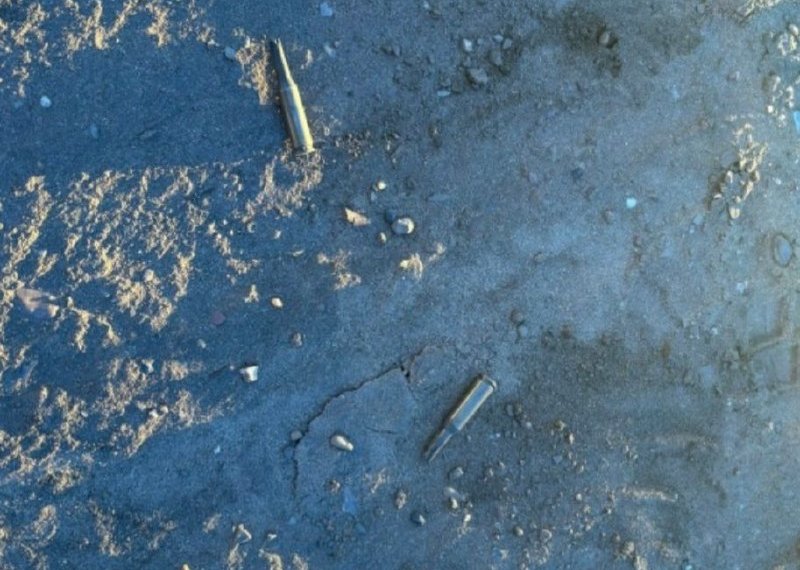 Полиция начала проверку после стрельбы на пляже в Новосибирске