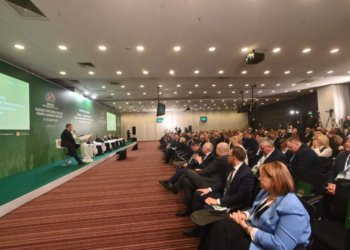 Новосибирская область наращивает экспорт сельскохозяйственной продукции