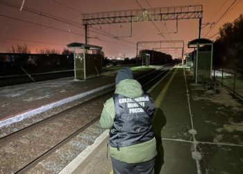 Экстренное торможение не помогло: под Новосибирском поезд насмерть сбил 52-летнюю женщину