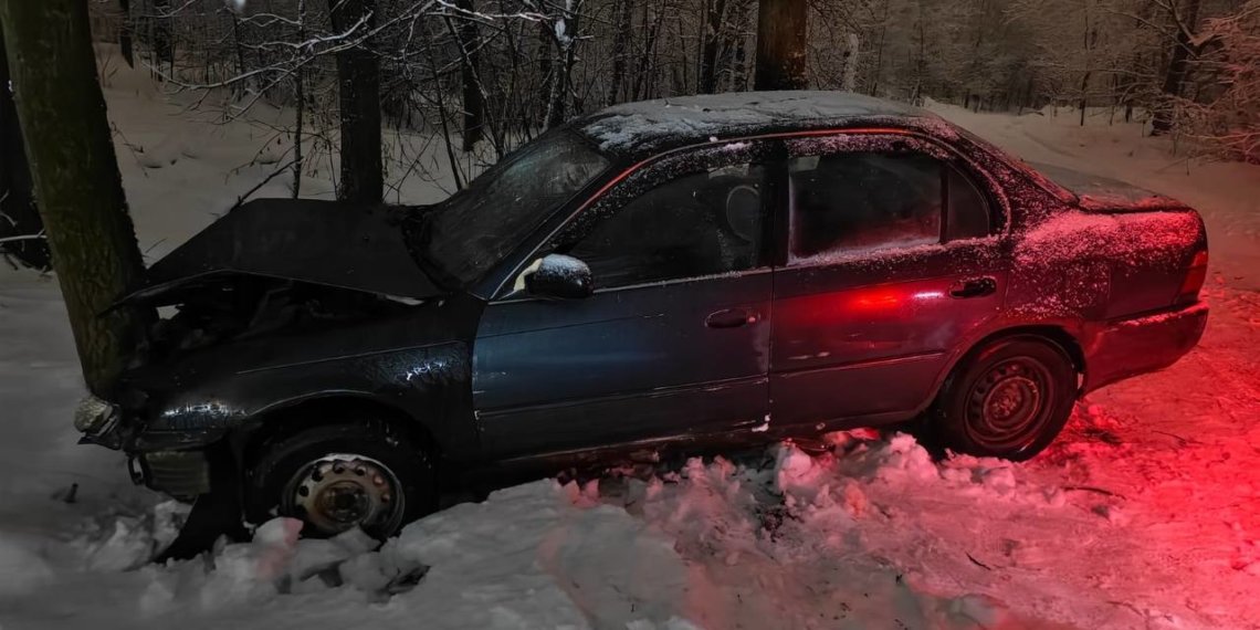 Toyota врезалась в дерево в Новосибирске: пострадали двое