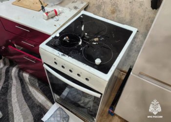 Собака взорвала квартиру в Новосибирске