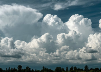 Слякоть и сырость: погода на 9 ноября