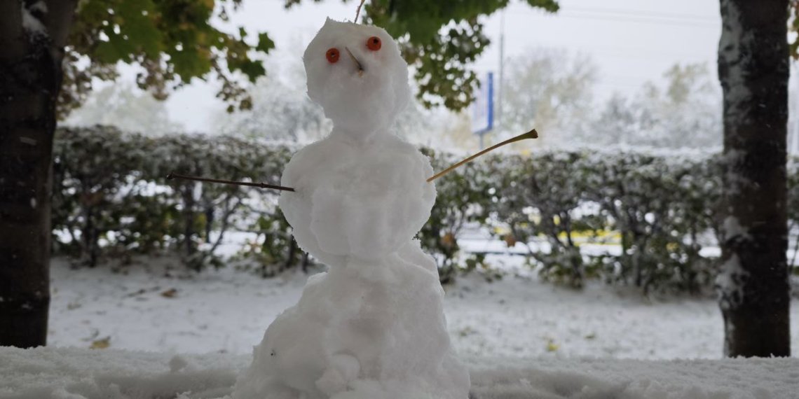 Тепло до +3 градусов вернется в Новосибирскую область