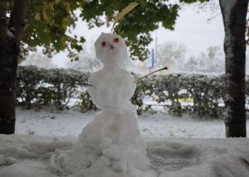 Тепло до +3 градусов вернется в Новосибирскую область