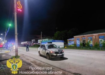 Новосибирца осудили за гибель 16-летней девушки на пешеходном переходе