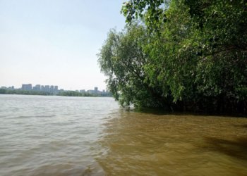 Лодка с людьми перевернулась на Оби: один погиб, двое пропали без вести