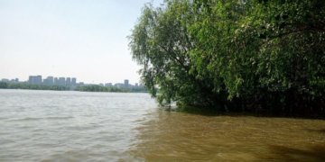 Лодка с людьми перевернулась на Оби: один погиб, двое пропали без вести