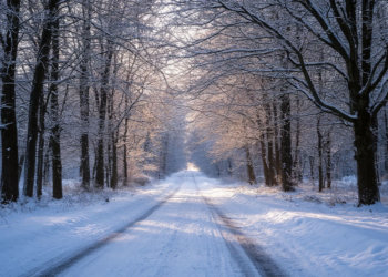 Холодно, но хотя бы без облаков: погода на 6 ноября