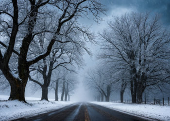 А вот и морозы: погода на 24 ноября