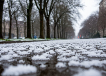 Мокрый Новосибирск: погода на 11 ноября