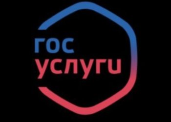 В интернет через «Госуслуги»: сотрудники «Синергии» предрекает ограничение доступа в Сеть