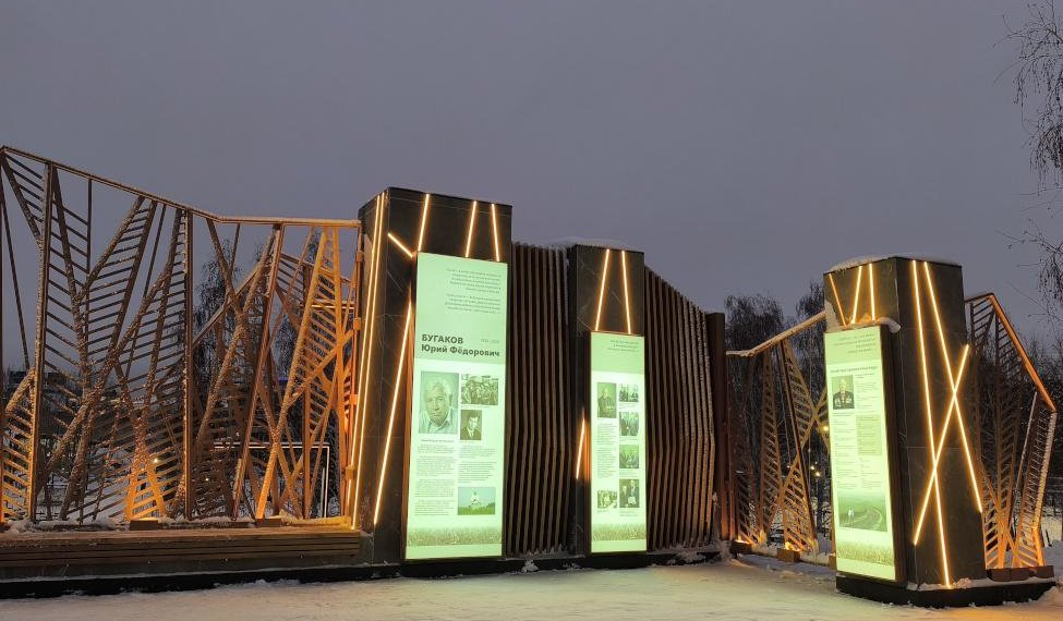 В «Бугаков-парке» в Новосибирске впервые зальют каток и установят новогоднюю ёлку