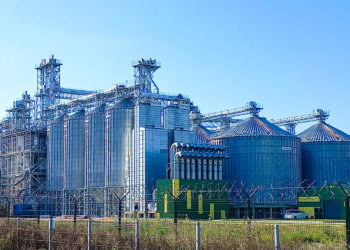 «Россети» обеспечат электроснабжение нового крупного завода по переработке льна и рапса под Новосибирском