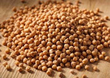 Филиппов день: начало Рождественского поста