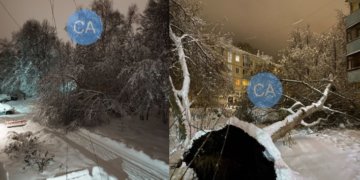 Стихия бушует: мокрый снег повалил десятки деревьев в новосибирском Академгородке