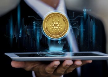 Прокуратура отправит под суд учредителей финансовой пирамиды в Новосибирске