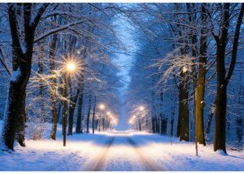 Стабильность, как мы любим: прогноз погоды на 7 ноября