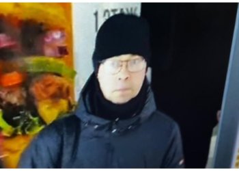 Полиция разыскивает воришку в Новосибирске