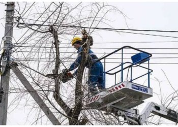 Прокуратура заставила ресурсоснабжающую компанию спилить старые ветки