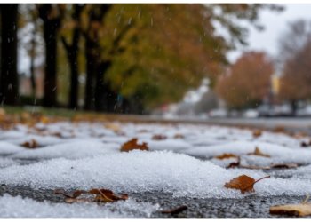 Снегодождь, опять снегодождь: погода 8 ноября