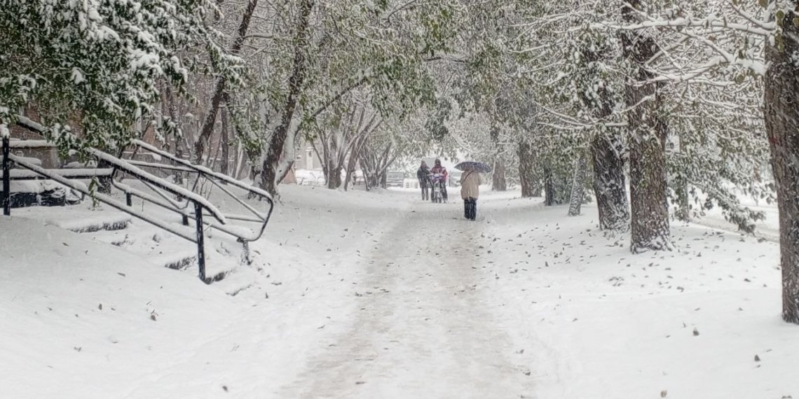 Новосибирцев пугают декабрьскими морозами до —40°C, но есть нюанс: смотрим в прогноз