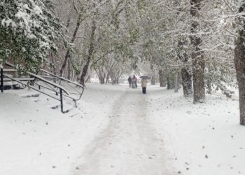 Новосибирцев пугают декабрьскими морозами до —40°C, но есть нюанс: смотрим в прогноз