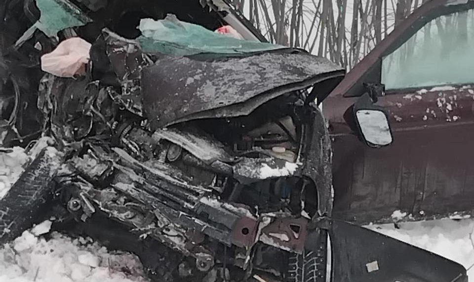 Тройная трагедия на трассе: в Тогучинском районе в лобовом ДТП погибли три человека