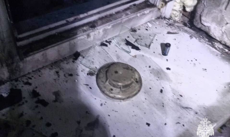 Извещатель спас бабушку и внучку во время пожара в Новосибирской области