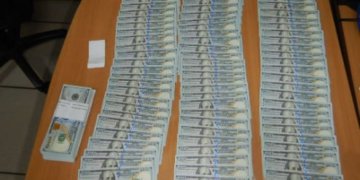 Служебная собака сорвала попытку вывезти 20 тысяч долларов из Новосибирска