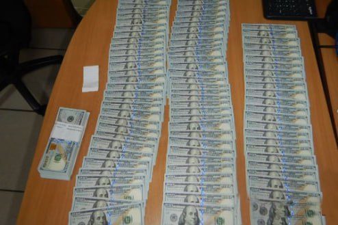 Служебная собака сорвала попытку вывезти 20 тысяч долларов из Новосибирска