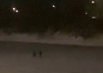 На грани трагедии: дети играли на тонком льду Оби в Новосибирске