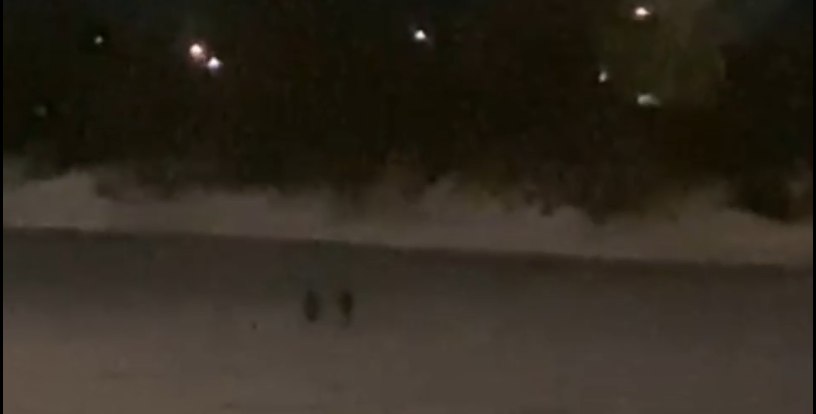 На грани трагедии: дети играли на тонком льду Оби в Новосибирске