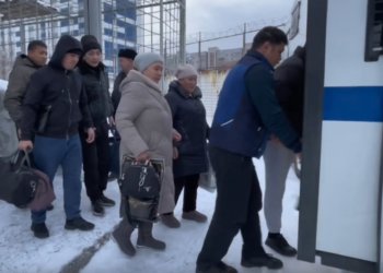 Массовое выдворение: приставы депортировали 42 мигрантов за сутки из Новосибирской области