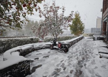 От -8 до -18: опубликован подробный прогноз погоды на декабрь в Новосибирске