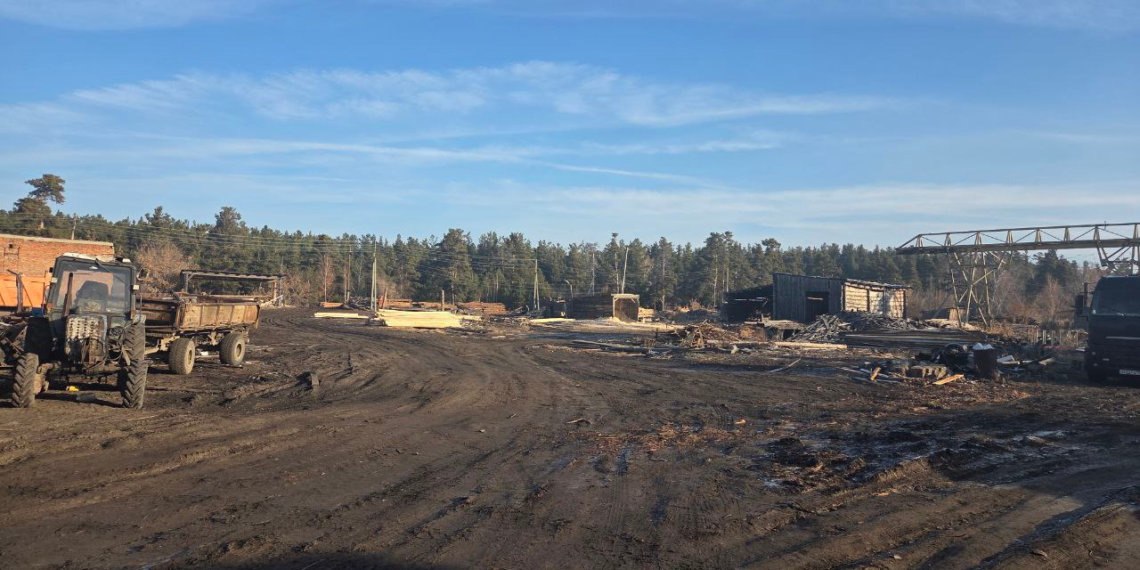 Экс-чиновника Минприроды Новосибирской области арестовали за взятку в 800 тысяч рублей