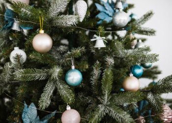 Живая или искусственная: как выбрать идеальную ёлку к Новому году