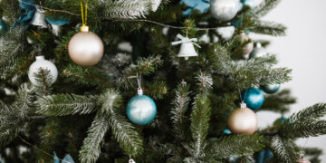 Живая или искусственная: как выбрать идеальную ёлку к Новому году