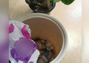 10 миллионов в цветочном горшке: менеджер почты и водитель украли деньги, инсценировав пожар под Новосибирском