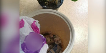 10 миллионов в цветочном горшке: менеджер почты и водитель украли деньги, инсценировав пожар под Новосибирском