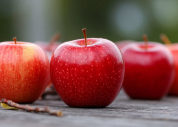 Работу сервиса FaceTime ограничили на территории России