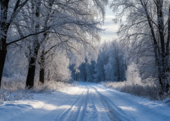 Мороз, возможен снег: погода на 10 декабря