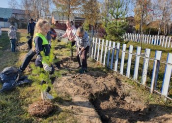 Сердце города — в микрорайонах: общественному самоуправлению Новосибирска исполнилось 25 лет