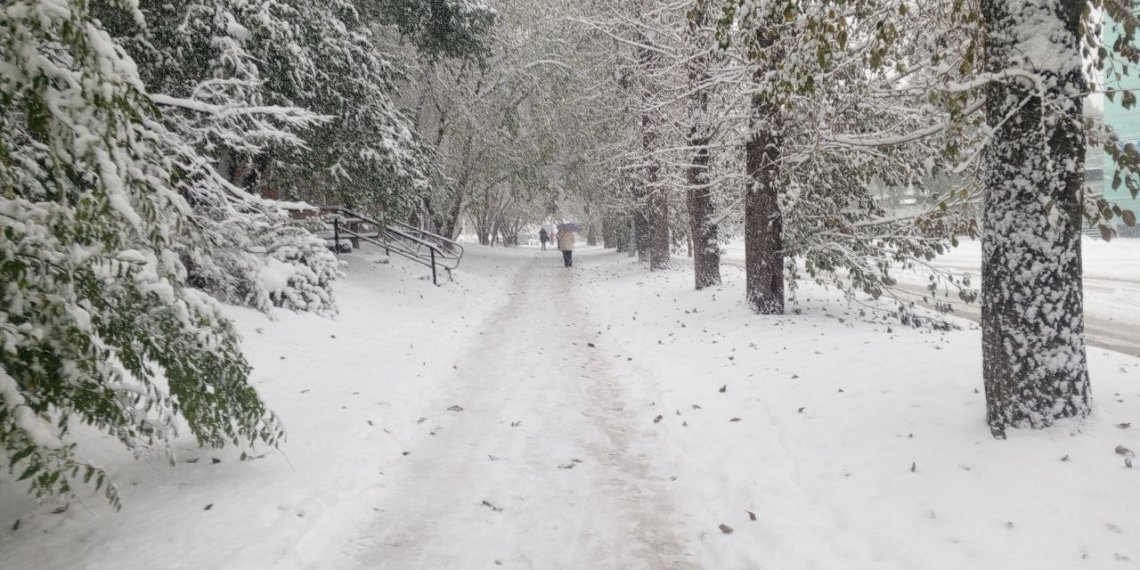 Крепкий мороз под -30 придёт в Новосибирскую область