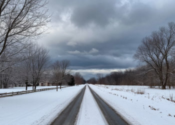 Прохладный зимний день: погода 12 декабря