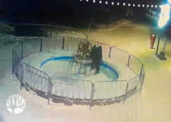 Вандалы испортили гирлянды и похитили ёлочные игрушки в парке Новосибирска