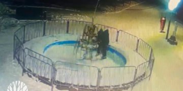 Вандалы испортили гирлянды и похитили ёлочные игрушки в парке Новосибирска