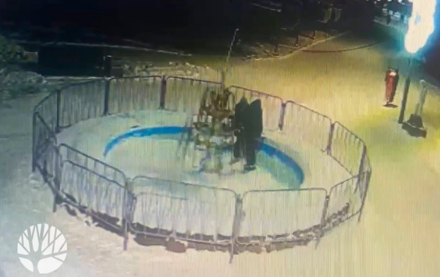 Вандалы испортили гирлянды и похитили ёлочные игрушки в парке Новосибирска