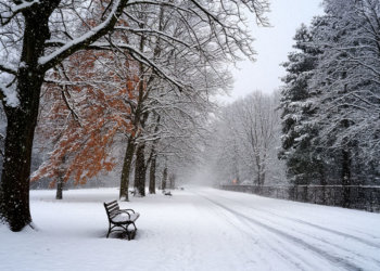 Слишком резкий перепад: погода на 15 декабря