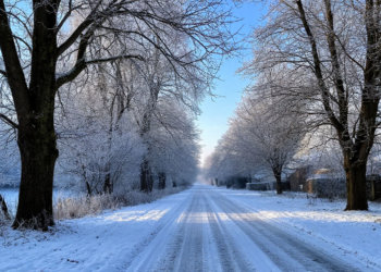 Настоящая зима: погода 16 декабря