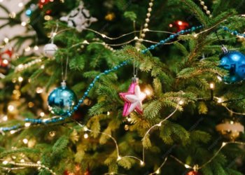 87 школьников из Новосибирской области попадут на Кремлёвскую ёлку